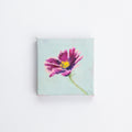 Wild Garden 1, 10x10cm