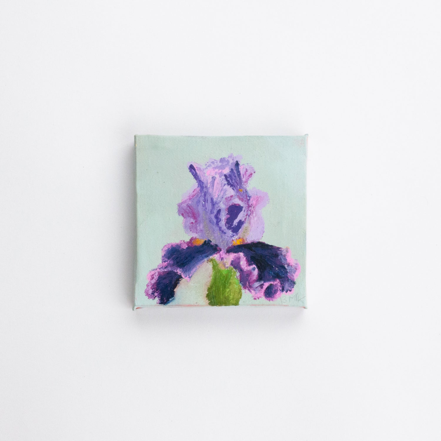 Wild Garden 2, 10x10cm