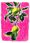 Apples, Art Print