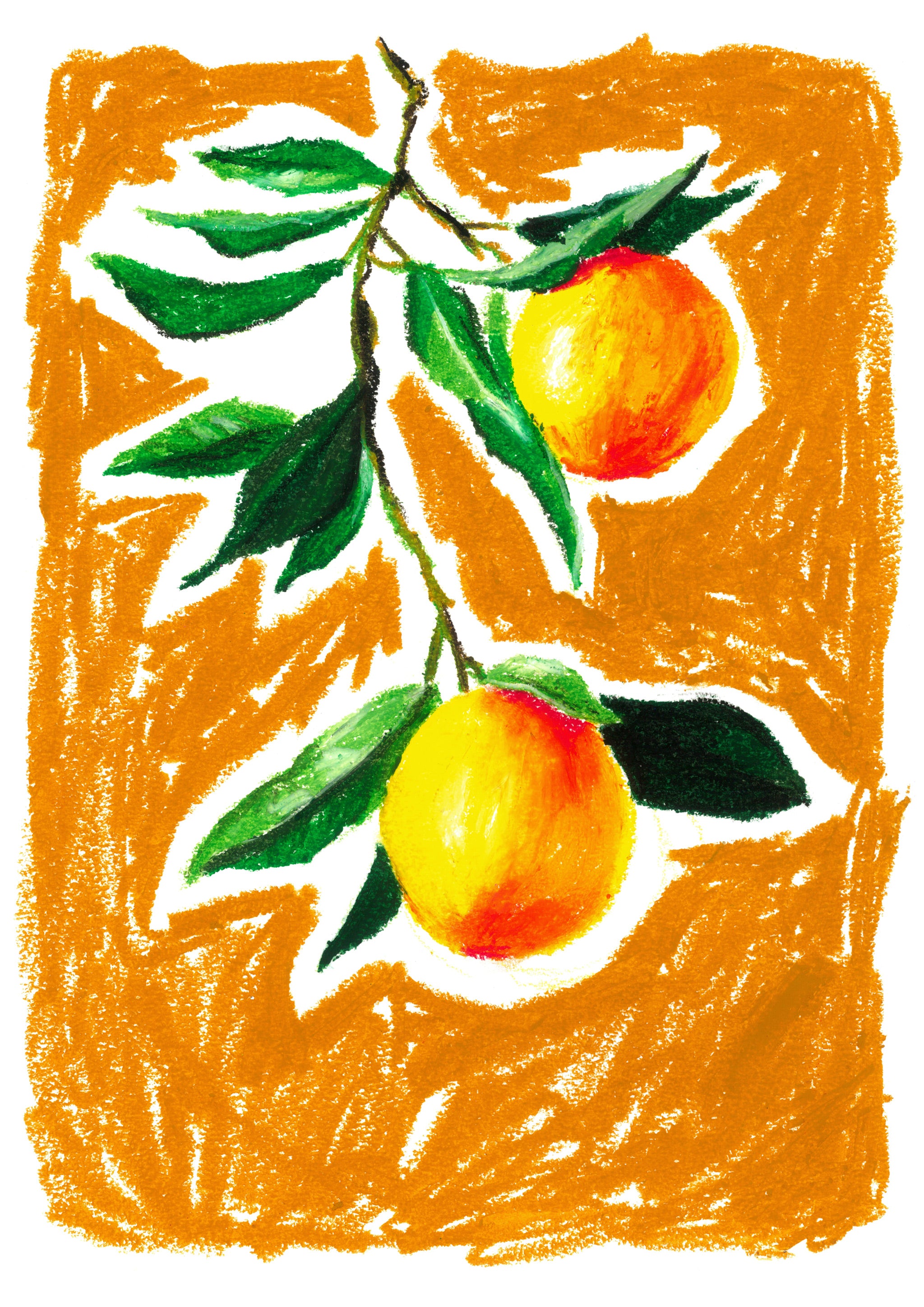 Appelsiner, Kunsttryk